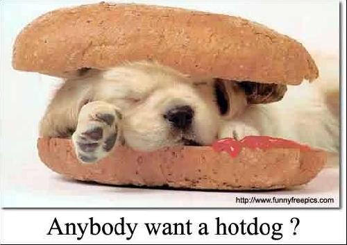 hotdog